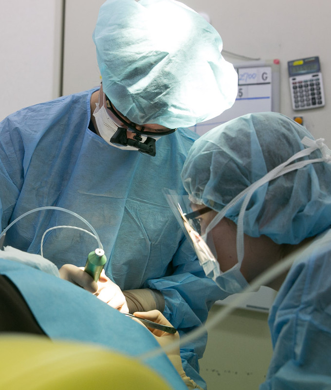 植毛とはのイメージ