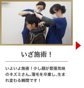 いざ施術!いよいよ施術！少し顔が緊張気味のネズミさん。薄毛を卒業し、生まれ変わる瞬間です！