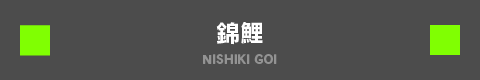 錦鯉 NISHIKI GOI